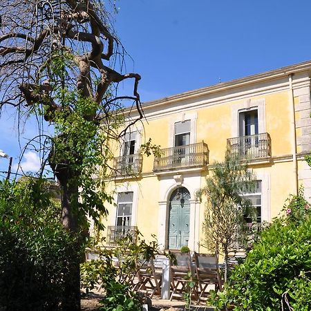 D'Oc D'Or Chambre D'Hotes Murviel Εξωτερικό φωτογραφία