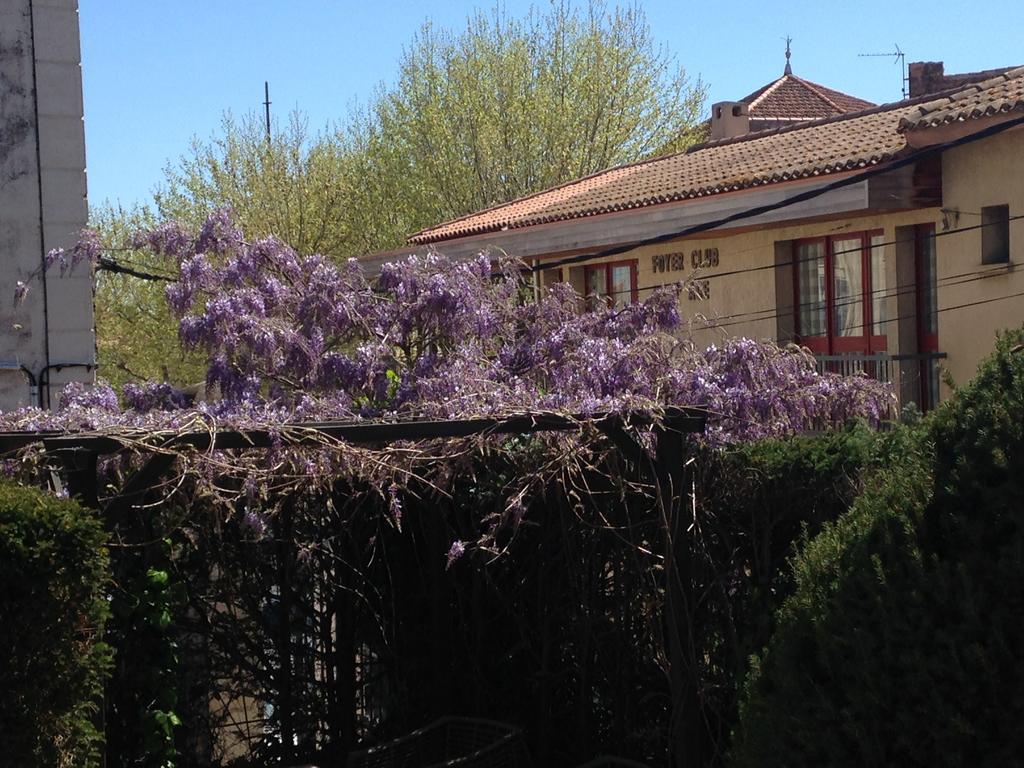 D'Oc D'Or Chambre D'Hotes Murviel Εξωτερικό φωτογραφία